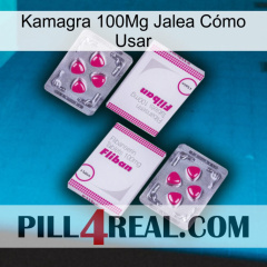 Kamagra 100Mg Jalea Cómo Usar 33